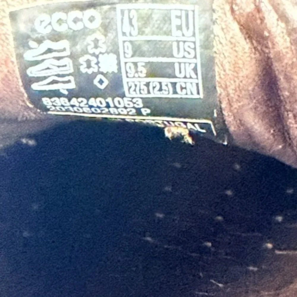 Ecco men st